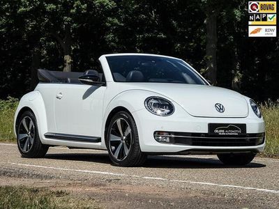 VW Beetle