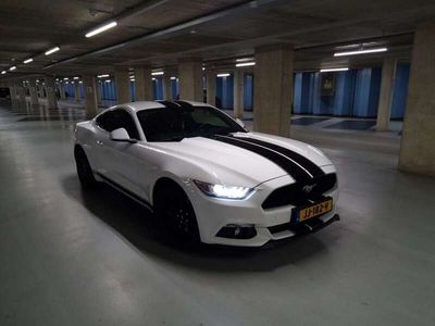 tweedehands Ford Mustang 2.3 EcoBoost