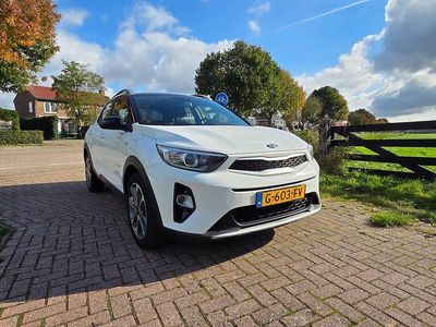 Wit Occasion 2019 Kia Stonic GT-Line SUV | € 14.399 (Eerlijke prijs)