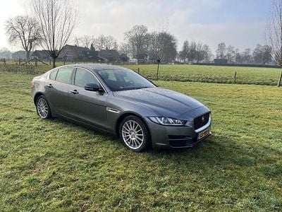 Occasion Jaguar XE 163 PK (119 kW) 2015 Sedan