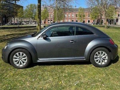 VW Beetle
