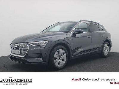 Grijs Gebruikt 2023 Audi e-tron SUV | € 51.629