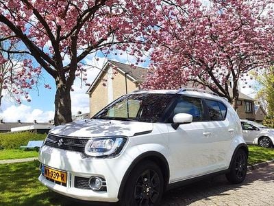 Wit (parellak) Gebruikt 2017 Suzuki Ignis Hatchback | € 12.500 (Eerlijke prijs)