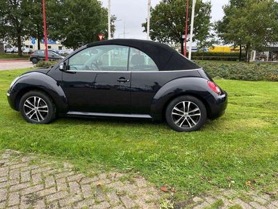 VW Beetle