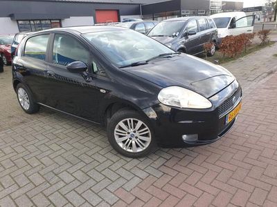 tweedehands Fiat Punto -1.4 Dynamic