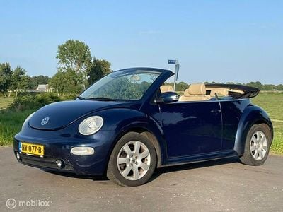 VW Beetle