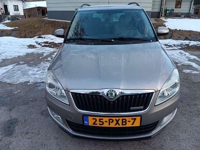 Occasion Skoda Fabia GreenLine 75 PK (55 kW) 2011 Beige Stationwagen