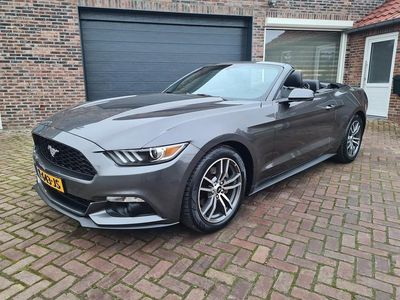 Occasion Ford Mustang Convertible 2015 Grijs (metallic) Cabriolet