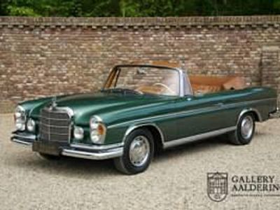 Groen Gebruikt 1964 Mercedes 220 SE Cabriolet | € 149.500