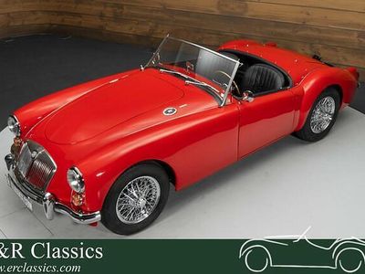Occasion MG 1600 80 PK (58 kW) 1960 Rood Cabriolet