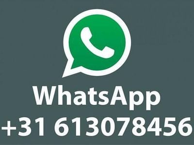 Groen Occasion 2024 Ford Kuga Active X SUV | € 38.370 (Eerlijke prijs)