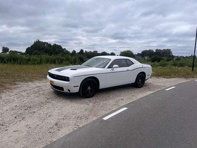 Wit Gebruikt 2016 Dodge Challenger SXT Coupé | € 32.900
