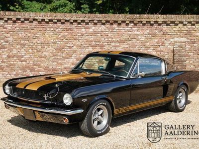 tweedehands Ford Mustang GT Fastback Shelby 350H