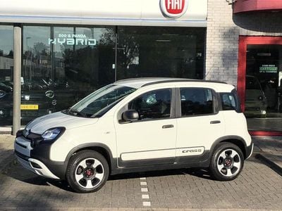 Occasion Fiat Panda Cross Cross 69 PK (50 kW) 2019 Wit Hatchback
