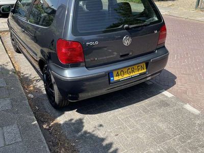 VW Polo