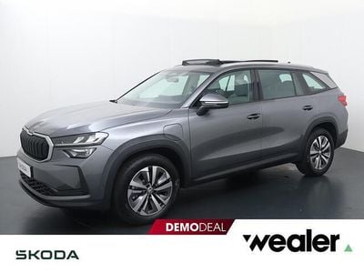 Occasion Skoda Kodiaq Business Line 204 PK (150 kW) 2025 Grijs SUV