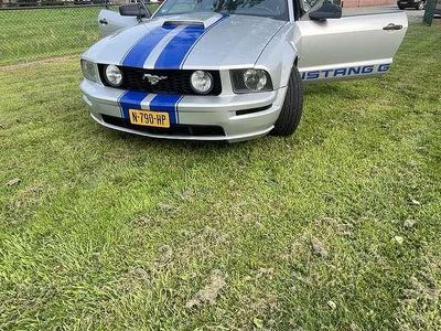 Grijs Gebruikt 2006 Ford Mustang GT Coupé | € 14.000