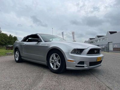 tweedehands Ford Mustang 3.7 V6