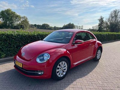 VW Beetle
