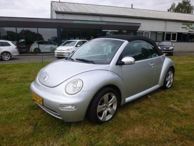 VW Beetle