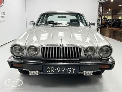 Occasion Jaguar XJ6 205 PK (150 kW) 1981 Sedan