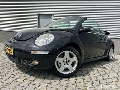 VW Beetle