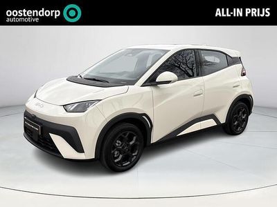 Nieuw BYD Dolphin Surf Boost 64 kW (88 PK) 2026 Wit Hatchback