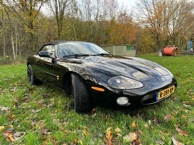 tweedehands Jaguar XKR 4.2 V8 Convertible