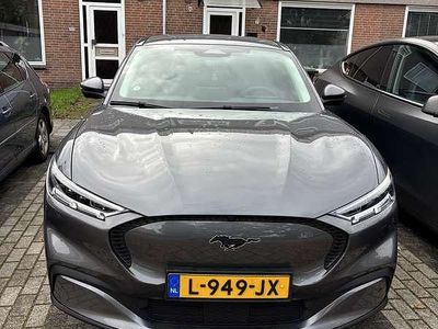 Occasion Ford Mustang 351 PK (258 kW) 2021 Grijs Hatchback