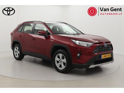 Rood Occasion 2020 Toyota RAV4 Business Edition SUV | € 29.999 (Eerlijke prijs)