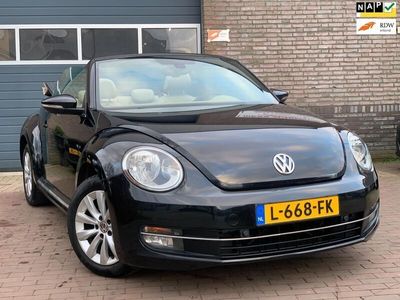 VW Beetle