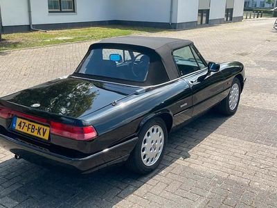 Occasion 1992 Alfa Romeo Spider Cabriolet | € 17.900