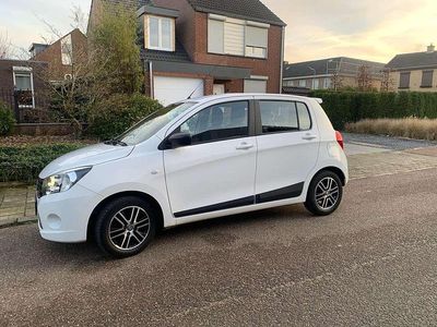 Wit Gebruikt 2015 Suzuki Celerio Comfort Hatchback | € 6.500 (Eerlijke prijs)