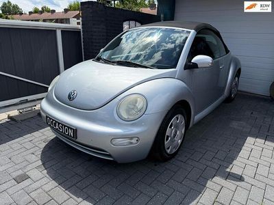 VW Beetle