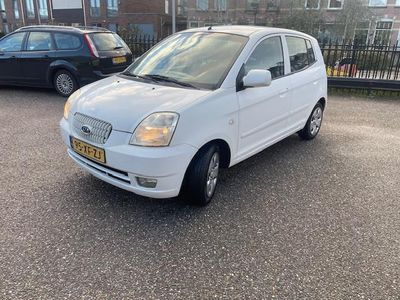 Wit Occasion 2007 Kia Picanto Hatchback | € 999 (Eerlijke prijs)