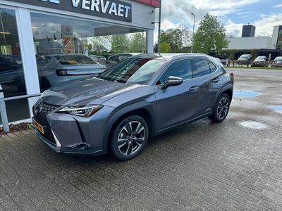 tweedehands Lexus UX 250h