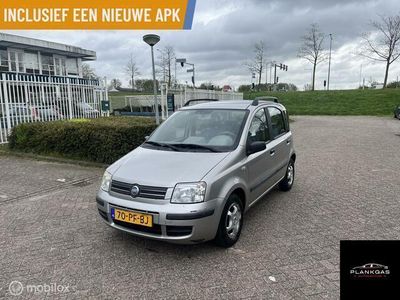 tweedehands Fiat Panda 1.2 Dynamic