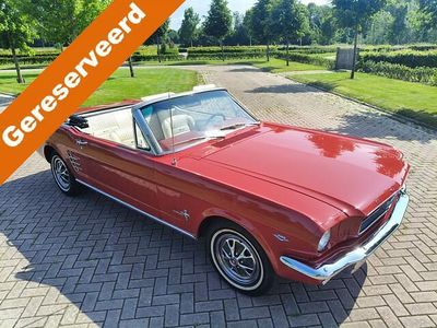Occasion Ford Mustang Convertible 193 PK (141 kW) 1966 Rood Cabriolet