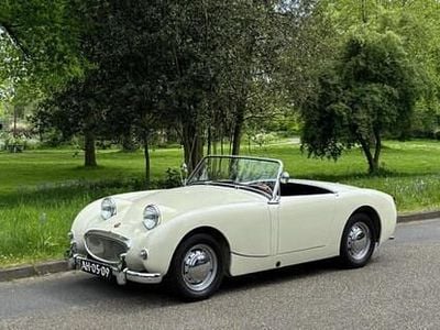 Occasion Austin Healey Frogeye 44 PK (32 kW) 1959 Wit