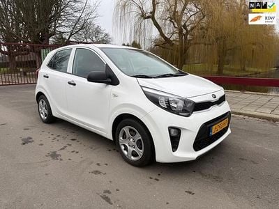 Occasion Kia Picanto EX 67 PK (49 kW) 2020 Wit Hatchback