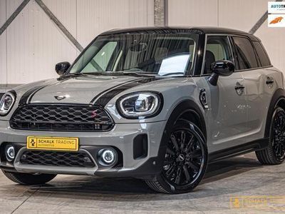 tweedehands Mini Cooper S Countryman 2.0 AL4 Chili|Stoelver|Cam|Facelift