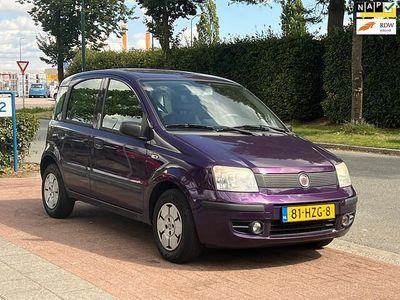 Paars Gebruikt 2009 Fiat Panda Hatchback | € 1.950 (Eerlijke prijs)