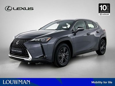 Grijs Occasion 2024 Lexus UX 250h SUV | € 38.400 (Iets duurder)