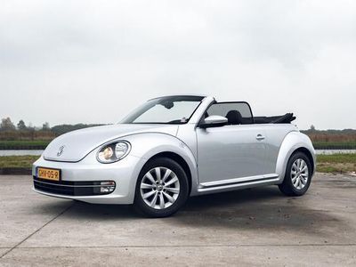 VW Beetle