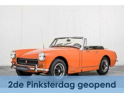 Occasion MG Midget 69 PK (50 kW) 1974 Oranje Cabriolet