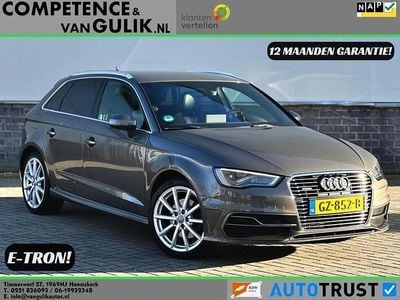 Occasion 2015 Audi e-tron Ambition SUV | € 13.950 (Eerlijke prijs)