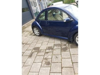 VW Beetle
