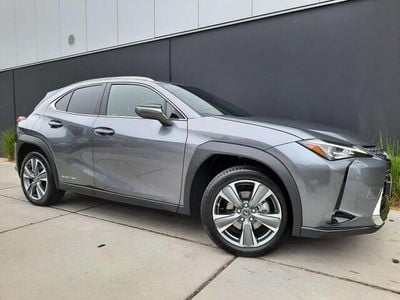 Grijs Occasion 2021 Lexus UX 300e SUV | € 28.980