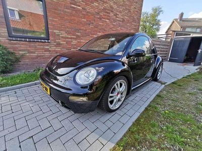 VW Beetle