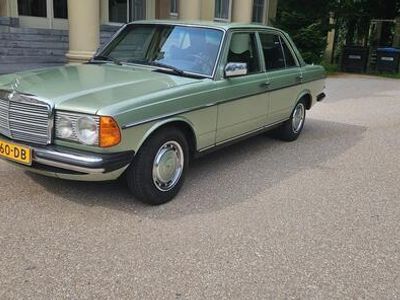 Groen Occasion 1979 Mercedes 250 Sedan | € 14.950